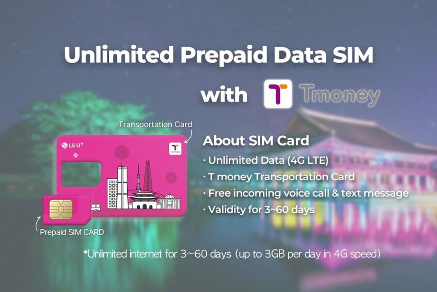 Incheon Airport: Traveler SIM & T-money Transportation Card - The small details that make pickup easier