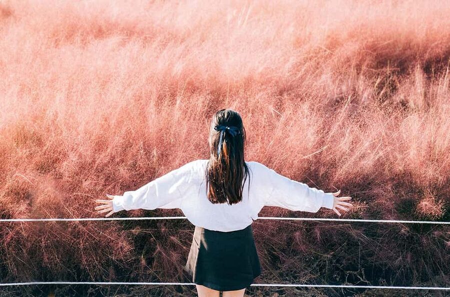 Jeju: 2026 Autumn Tour with Pink Muhly Festival Hotel Pickup - Why this tour works best in autumn