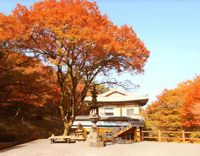 Jeju: 2026 Autumn Tour with Pink Muhly Festival Hotel Pickup - Seongsan Ilchulbong and Jeju’s Haenyeo