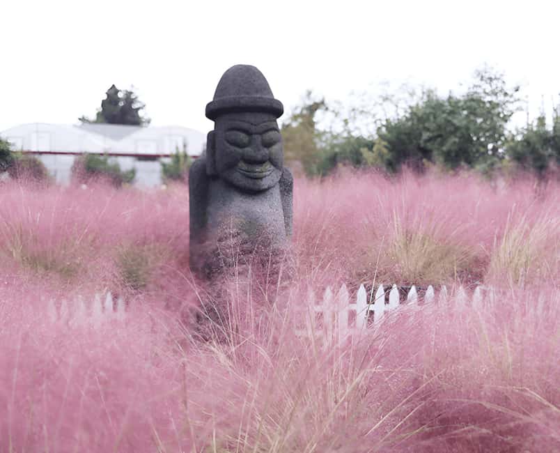 Jeju: 2026 Autumn Tour with Pink Muhly Festival Hotel Pickup - Cheonwangsa Temple and Hallasan’s autumn leaves