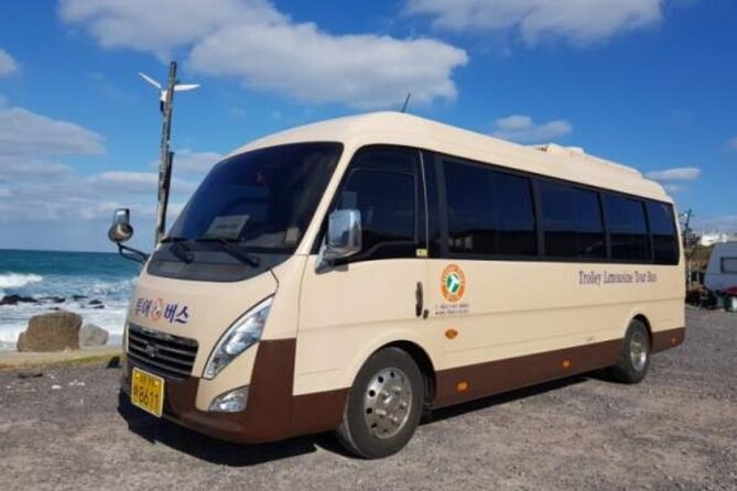 Jeju Airport Transfer - Booking details that affect your decision