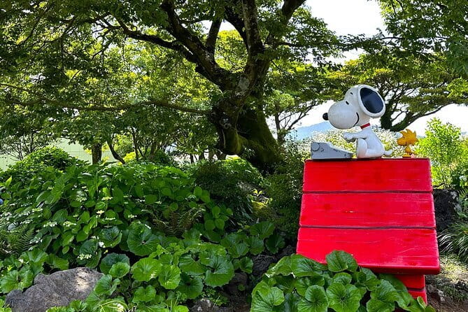 Jeju BTS & K-drama Fans Small Group Tour incl. Snoopy Garden - Why this Jeju tour works for screen fans