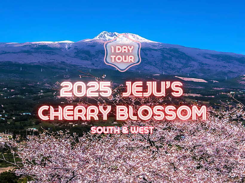 Jeju: Cherry Blossom South & West Day Tour with Hotel Pickup - Nonjitmul shows Jeju’s coastal side