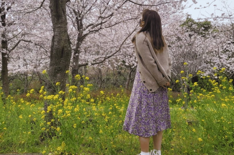 Jeju: Cherry Blossom South & West Day Tour with Hotel Pickup - O’sulloc closes the sightseeing loop