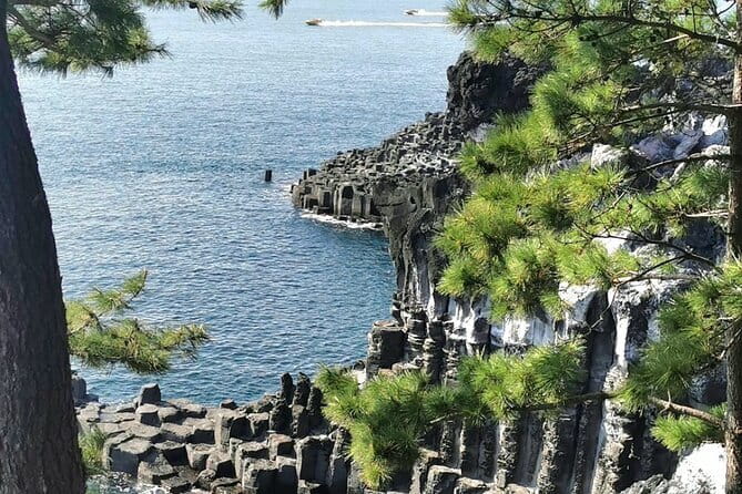 Jeju Cruise Ship gangjung Port PRIVATE tour for all group sizes - Why this tour works well from Gangjeong Port