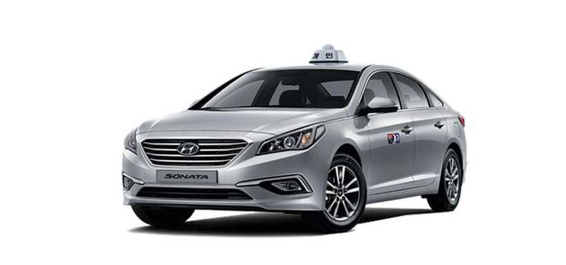 Jeju Cruise Shore Excursion Private Taxi Tour Car Charter - The six-hour east route adds Seopjikoji and market time