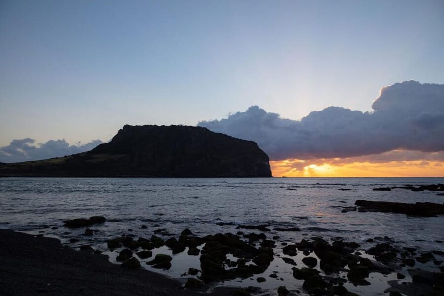 Jeju Cruise Shore Excursion Private Taxi Tour Car Charter - Food, markets, and the cost of a flexible day