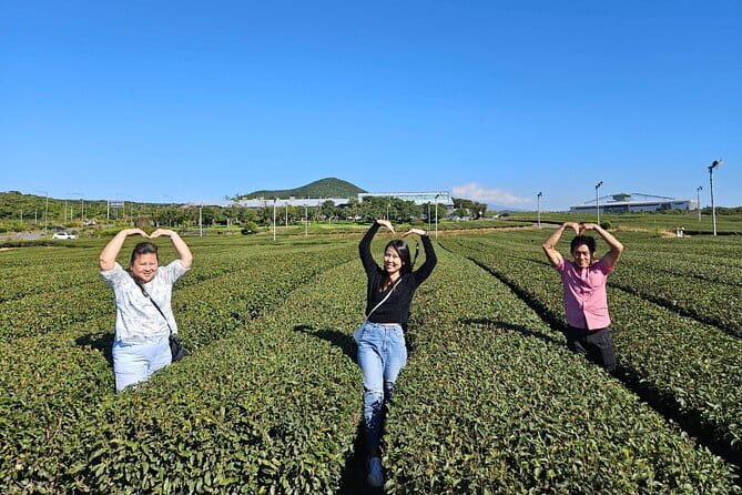 Jeju Customize Private VAN Tour of East or West or South (~8pax) - A private way to make sense of Jeju