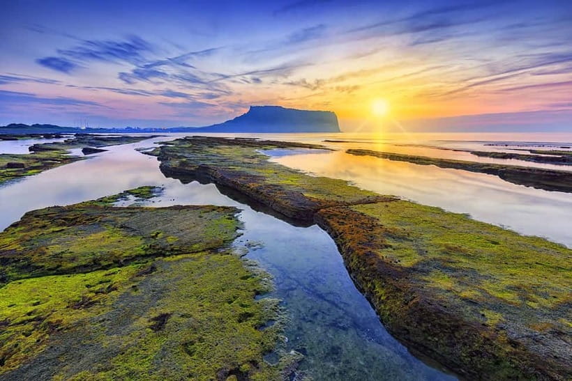 Jeju: Customized Private Vehicle Day Tour - Why regional planning matters on Jeju