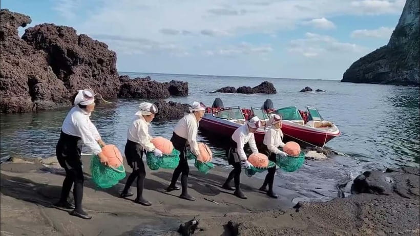 Jeju: Customized Private Vehicle Day Tour - East Jeju: volcanoes, forests, and Udo