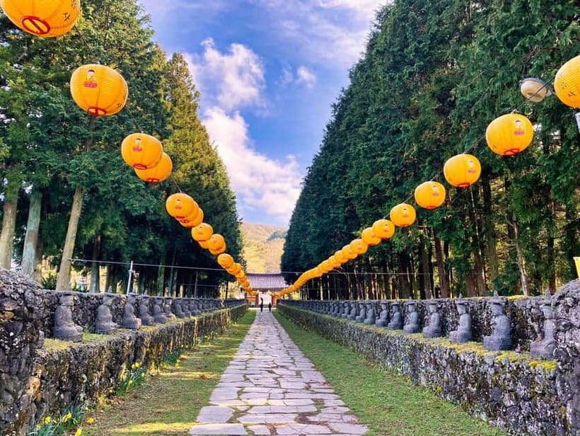 Jeju: Customized Shore Excursions For Up To 7 People - Timing, walking, and practical limits
