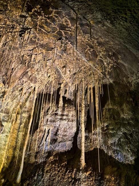 Jeju: Customized Shore Excursions For Up To 7 People - Should you book this Jeju shore excursion?