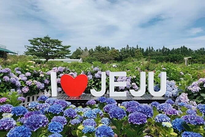 Jeju Day Tour for Cruise Guests - Seogwipo Olle Market for snacks and souvenirs