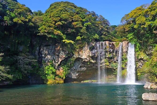 Jeju Day Tour for Cruise Guests - Hallasan’s 1100 wetland or Eorimok