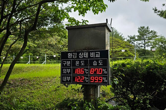 Jeju Day Tour - World Heritage & UNESCO - Oedolgae and the coastal beginning near Seogwipo