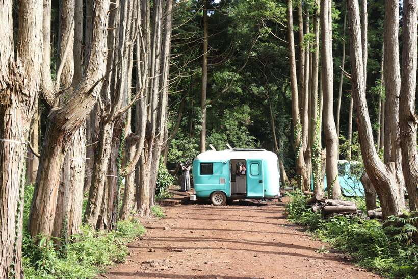 Jeju: East of Jeju Island Bus Tour from Seogwipo City - Who should book this eastern Jeju day?