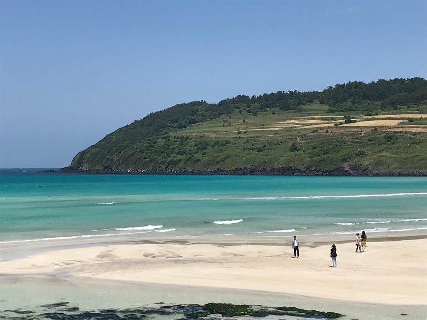 Jeju: East of Jeju Island Bus Tour from Seogwipo City - The Haenyeo Museum: understanding Jeju’s women sea divers