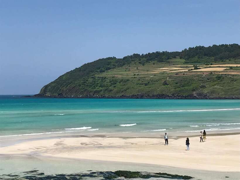 Jeju: East of Jeju Island Bus Tour from Seogwipo City - Transport, timing, and what the $88 price covers