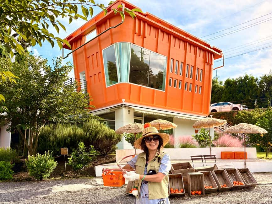 Jeju East: Small Group Healing Tour w/Woman Divers Show - Key points to know before booking