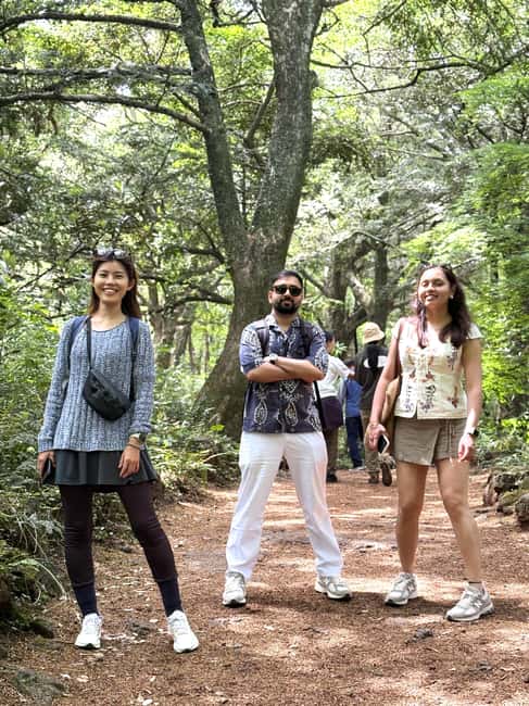 Jeju East: Small Group Healing Tour w/Woman Divers Show - Local lunch keeps the day personal