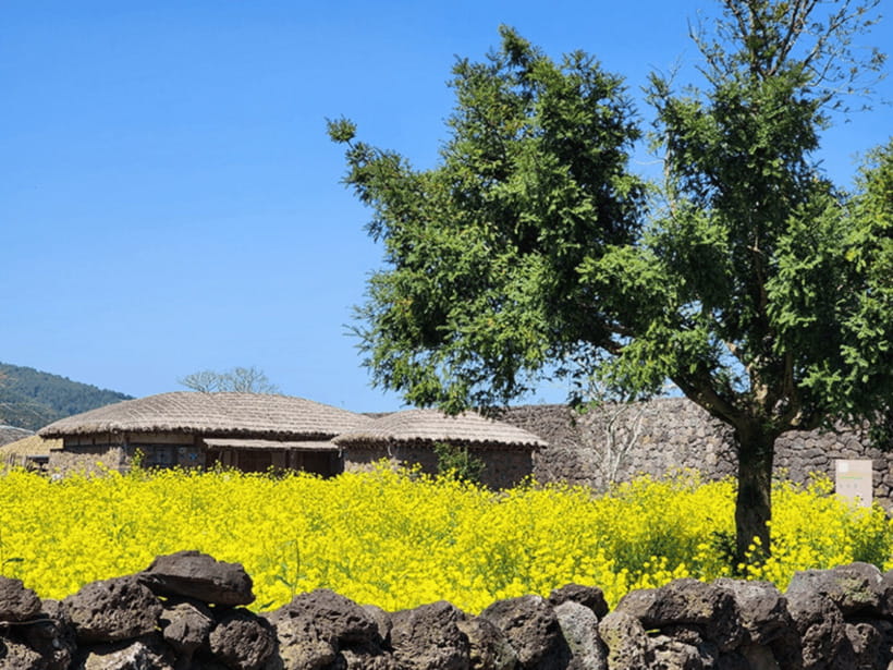 Jeju: Eastern Jeju UNESCO Spots Day Tour - The Haenyeo Museum explains Jeju’s sea women