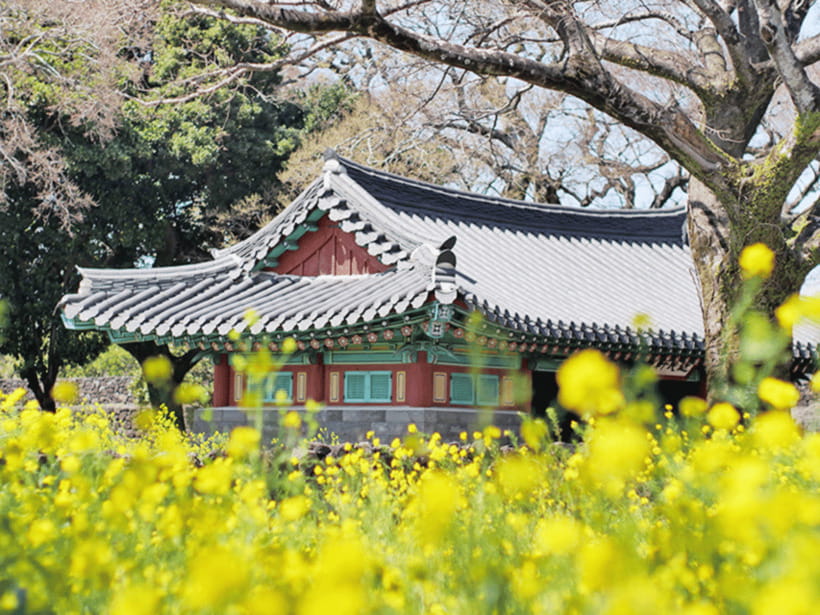 Jeju: Eastern Jeju UNESCO Spots Day Tour - Lunch is local, flexible, and not included