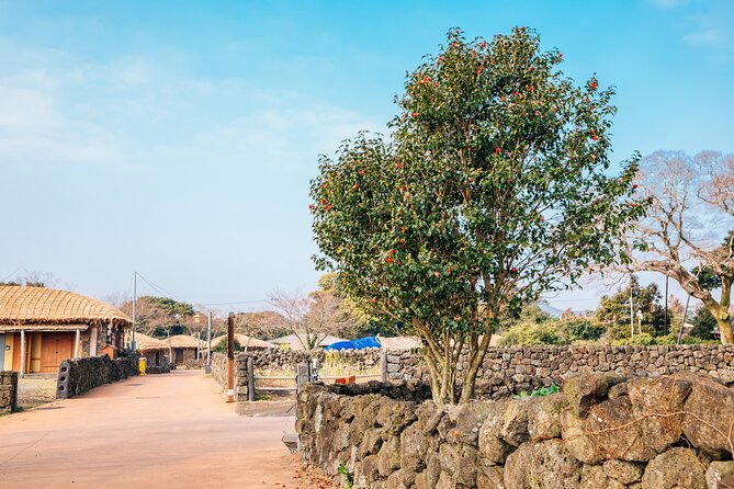 Jeju Eastern Must visit Unesco Spots Join In Tour - Dongmun Market as an optional finish