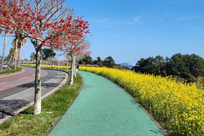 Jeju English Private Taxi Tour(1day, 2days, 3days & 1 to 12pax) - Why a Private Taxi Works So Well on Jeju