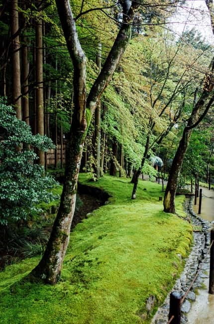 Jeju Highlights Day Trip (East Course) - Guides and vehicle service are central to the value