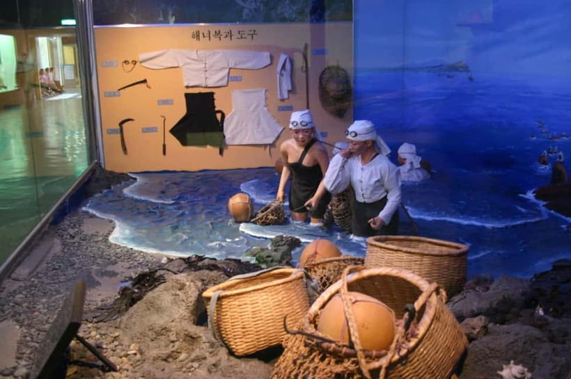 Jeju Highlights Day Trip (East Course) - Saryeoni Forest begins the day among cedar trees