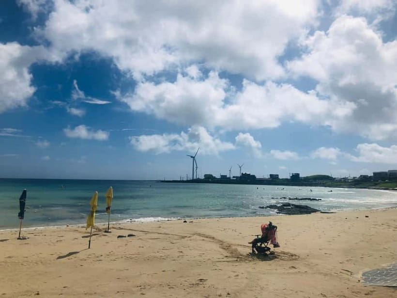Jeju Island: Customized Private Full-Day Van Tour - Why a private Jeju day makes sense