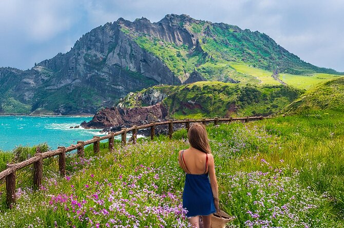 Jeju island Eastern UNESCO site Full Day Guided Tour - Seongsan Ilchulbong: Jeju’s great volcanic viewpoint