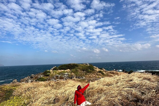 Jeju Island English Private & Flexible Tour any number anywhere - Why a private car makes sense on Jeju