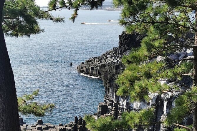 Jeju Island English Private & Flexible Tour any number anywhere - Weather planning is one of the tour’s best practical advantages