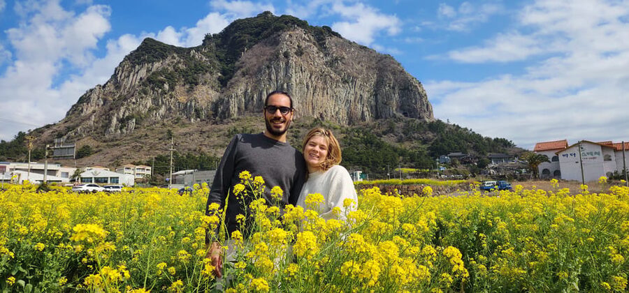 Jeju Island: Full-Day Customizable Private Guided Car Tour - Is $418 good value for six people?