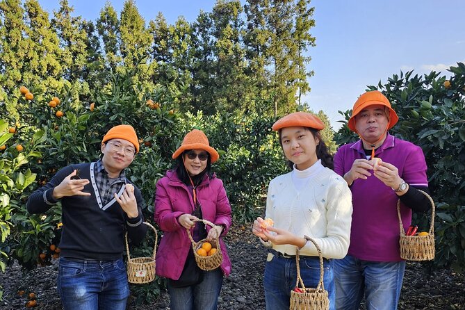 Jeju island Jumbo taxi Private Tour with Mr.Hong west of jeju - Yongmeori Beach brings the volcanic rock close