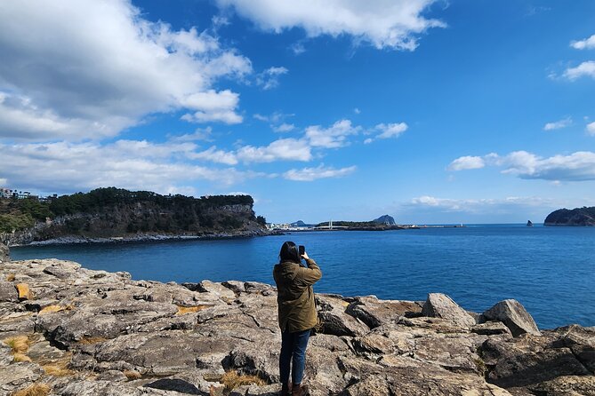 Jeju Island Popular Sightseeing Private Car Charter Tour 5/9hours - Who should book this Jeju tour