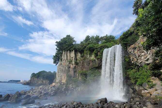 Jeju island private Day tour – west and south of Jeju island - O’sulloc brings tea, gardens, and a change of pace