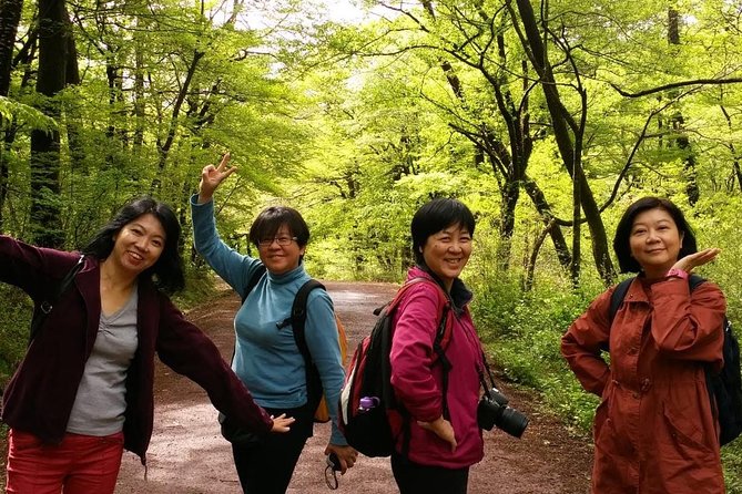 Jeju Island Private Half day Transport : South / West - Seogwipo Maeil Olle Market for a local break