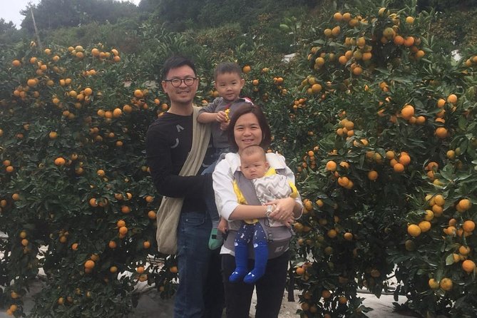 Jeju Island Private Taxi Tour : 2 Full days - The real cost of the two days