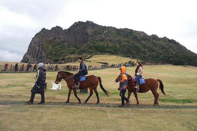 Jeju Island Private Taxi Tour : 2 Full days - Who should book it?