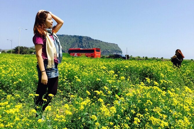 Jeju island Private Tour - UNESCO Day Tour & Haenyeo Performance - Seongsan Ilchulbong and the 2 p.m. haenyeo performance