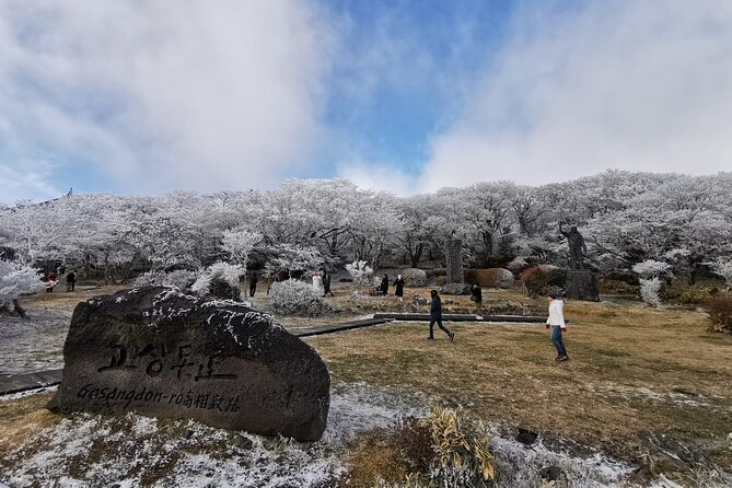 Jeju island Private Tour - UNESCO Day Tour & Haenyeo Performance - The Haenyeo Museum adds meaning to the show