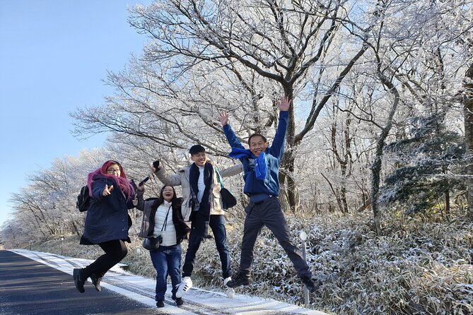 Jeju island Private UNESCO Tour - For Cruise customer - Timing, weather, and cruise-day limits