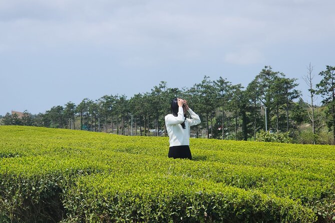 Jeju island Southern UNESCO Day Tour With Hallasan MT - Lunch, timing, and the real value of $56.86