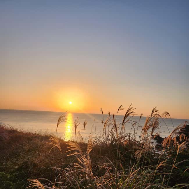 Jeju Island: Sunrise Guided Tour with Hotel Pickup - FAQ