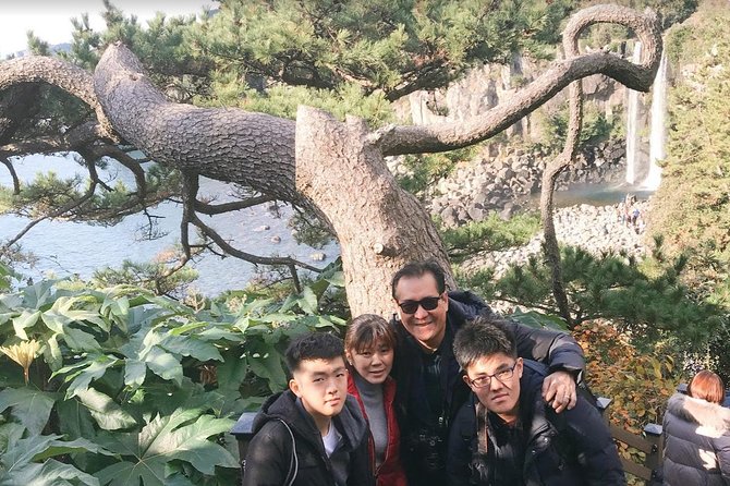Jeju Island Taxi Tour : South Day Tour - Key points to know before booking