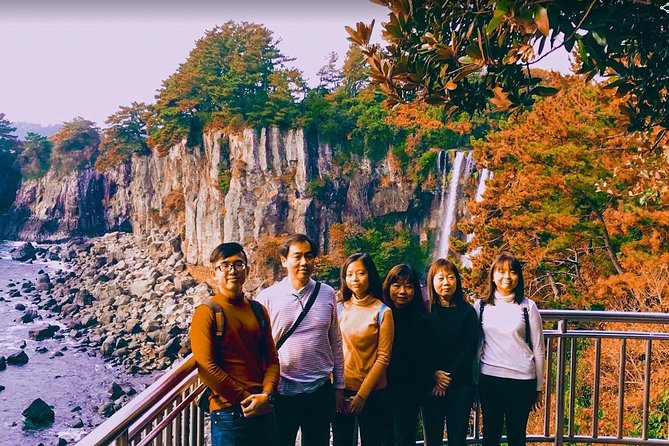 Jeju Island Taxi Tour : South Day Tour - O’sulloc Tea Museum and the green tea fields
