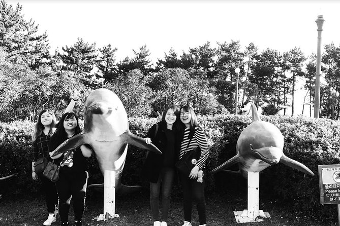 Jeju Island Taxi Tour : South Day Tour - Who should choose this Jeju day tour?