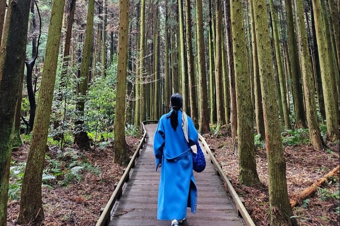 Jeju Island UNESCO Heritage Bus Tour - How to handle weather and seasonal changes